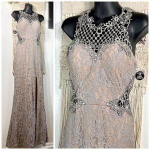 Silver Lace Apricot Dress